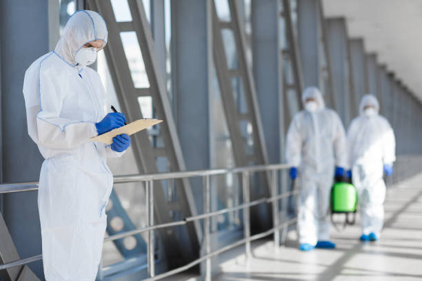 Best Commercial Mold Inspection  in Quincy, MA